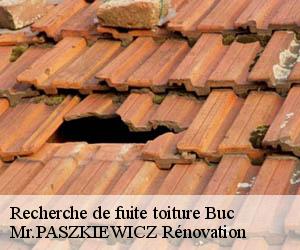 Recherche de fuite toiture  buc-78530 Mr.PASZKIEWICZ Rénovation