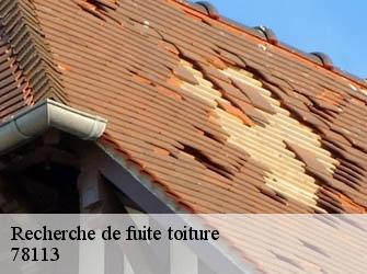 Recherche de fuite toiture  78113