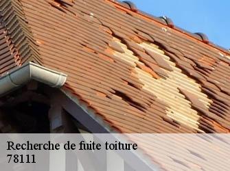 Recherche de fuite toiture  78111