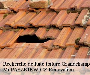 Recherche de fuite toiture  grandchamp-78113 Mr.PASZKIEWICZ Rénovation