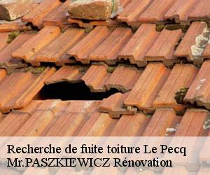 Recherche de fuite toiture  le-pecq-78230 Mr.PASZKIEWICZ Rénovation