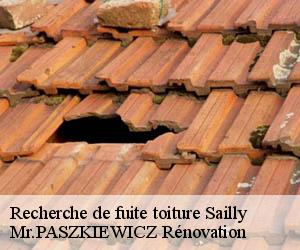 Recherche de fuite toiture  sailly-78440 Mr.PASZKIEWICZ Rénovation