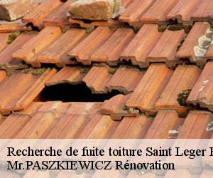 Recherche de fuite toiture  saint-leger-en-yvelines-78610 Mr.PASZKIEWICZ Rénovation