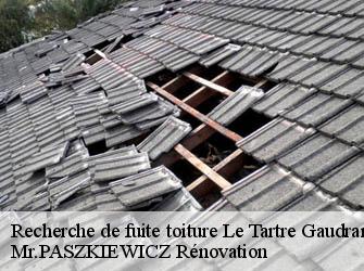 Recherche de fuite toiture  78113