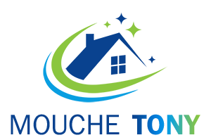 nettoyage-mouche-tony